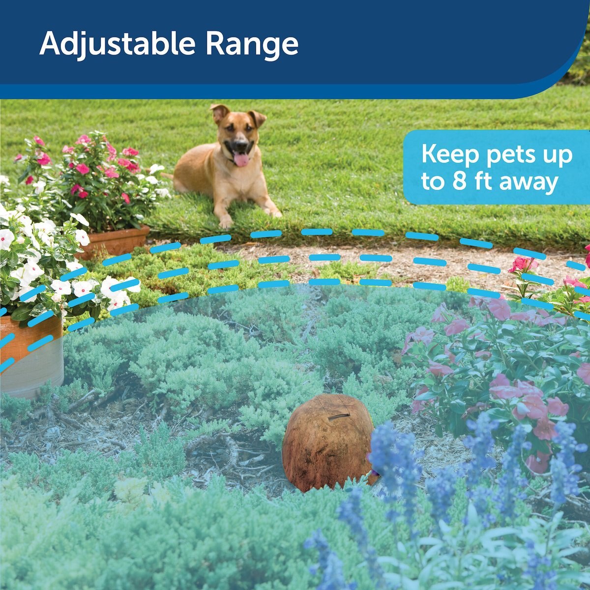 PetSafe Pawz Away Outdoor Pet Barrier