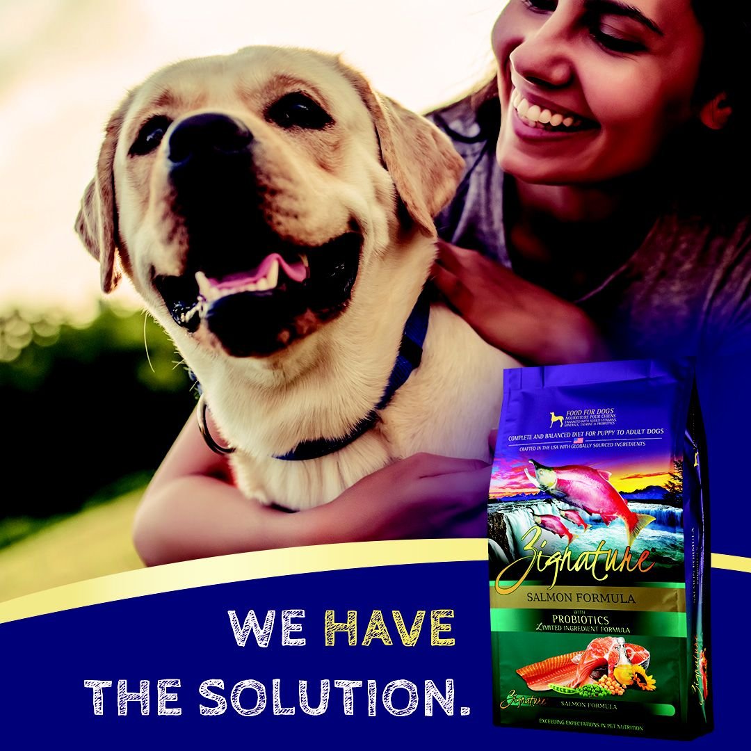 Zignature Salmon Limited Ingredient Formula Dry Dog Food