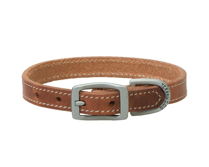 Terrain D.O.G. Harness Leather Dog Collar - 3/4 Inch x 15 Inch - 06-2001-15