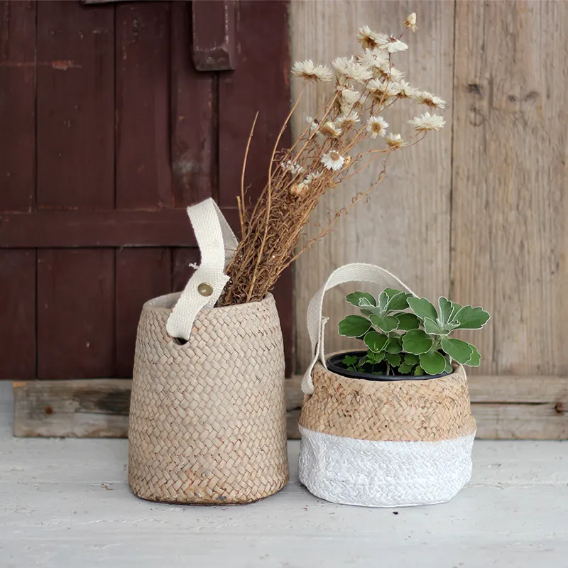 Wholesale Weaving Design Cement Hanging Pots Flower Vases for Home Garden Decor Plant Round Shape Modern Used with Flower/green