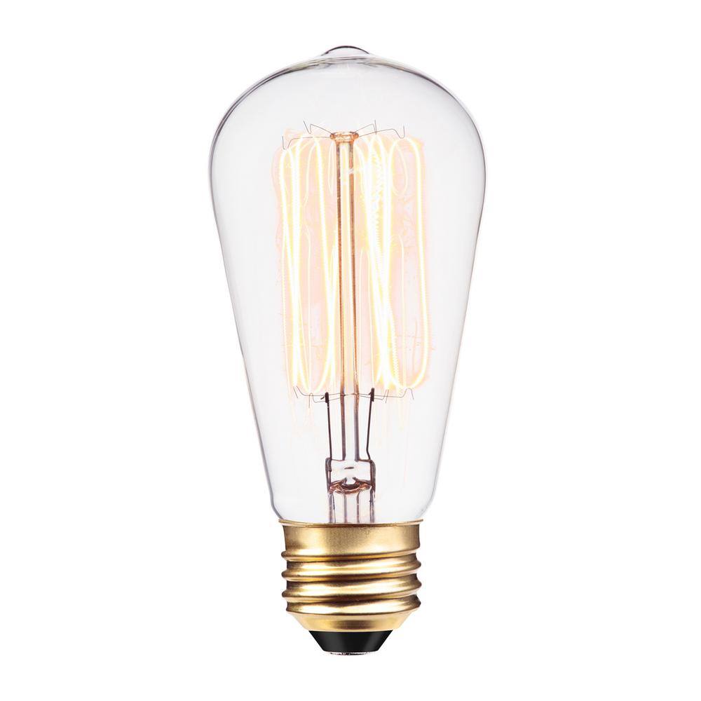 Globe Electric 60 Watt ST19 Dimmable Cage Filament Vintage Edison Incandescent Light Bulb Warm White Light (3-Pack) 31321