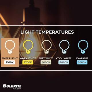 Bulbrite 40-Watt A19 Incandescent Light Bulb Medium Base (E26) Antique Nostalgic Loop 2200K (4-pack) 861385