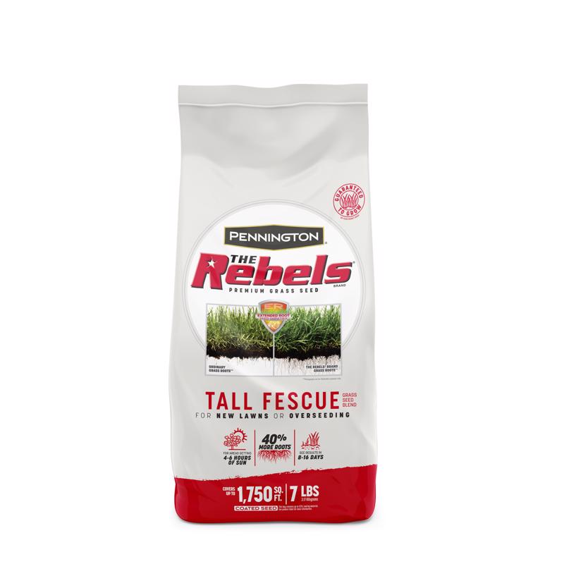 REBEL TALL FESCUE 7 LB