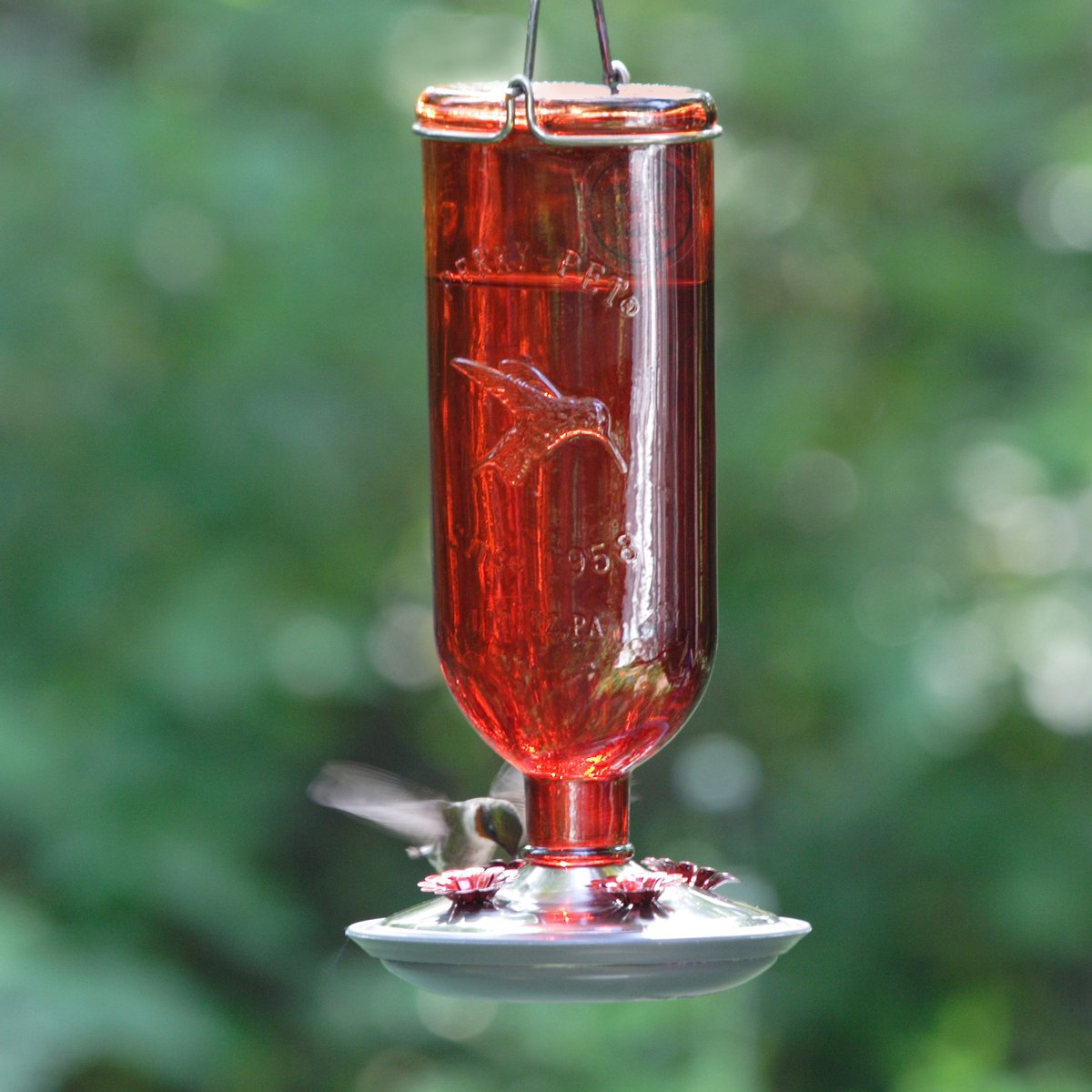 Perky-Pet Antique Bottle Hummingbird Feeder