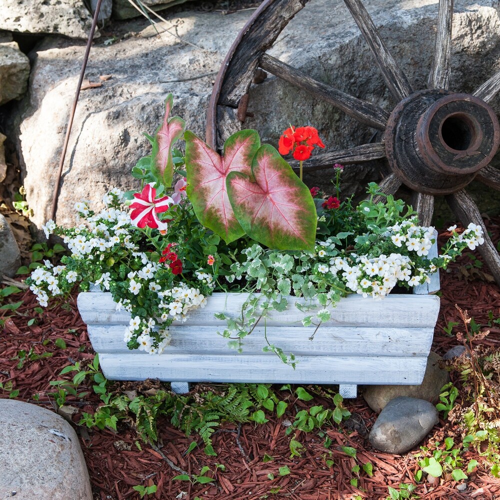 Whitewash Wood Planter