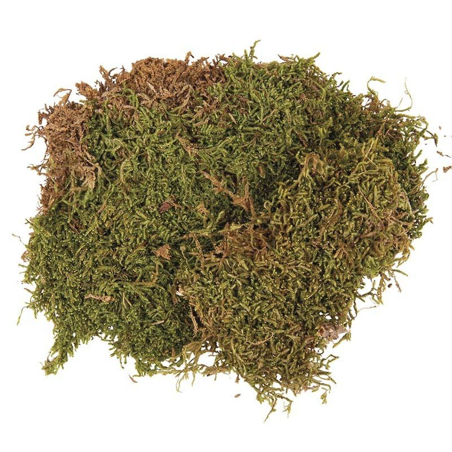 Dried moss 3 x 100g trays