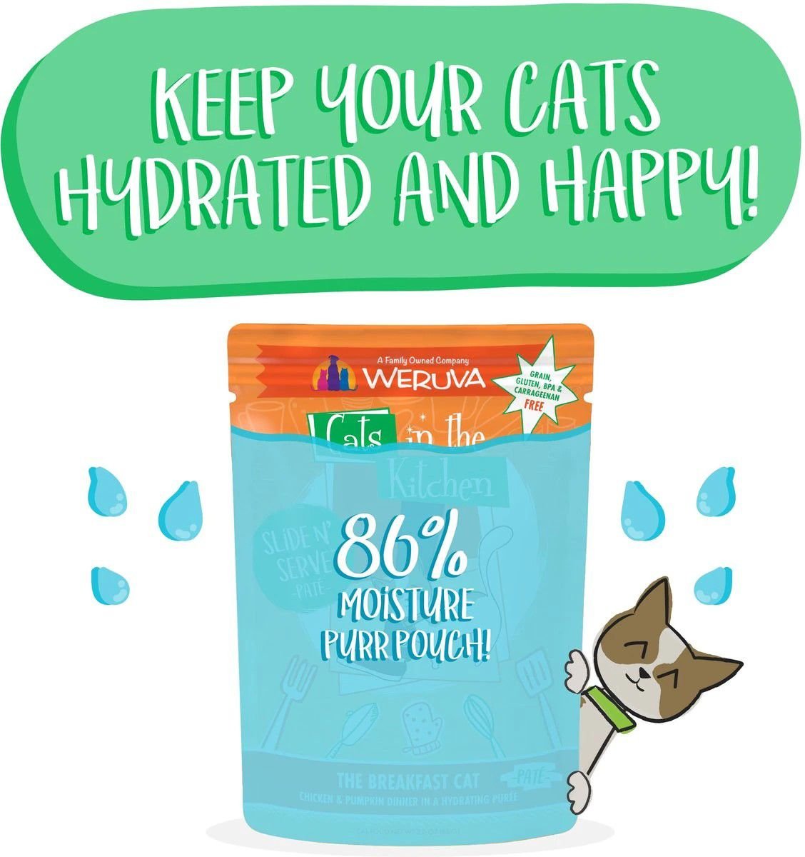 Weruva Cats in the Kitchen The Breakfast Cat with Chicken and Pumpkin Grain-Free Cat Food Pouches