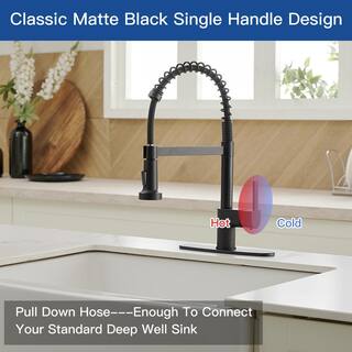 BWE Single-Handle Pull-Down Sprayer 2 Spray High Arc Kitchen Faucet With Deck Plate in Matte Black A-94009-Black