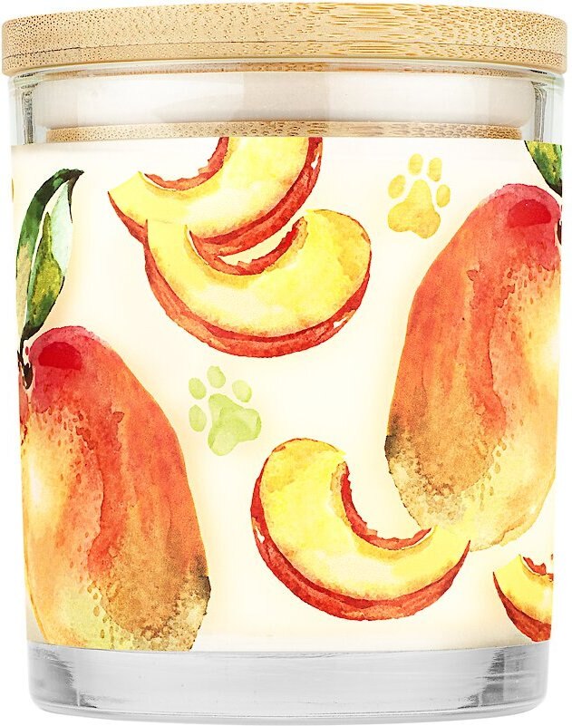 Pet House Mango Peach Natural Soy Candle