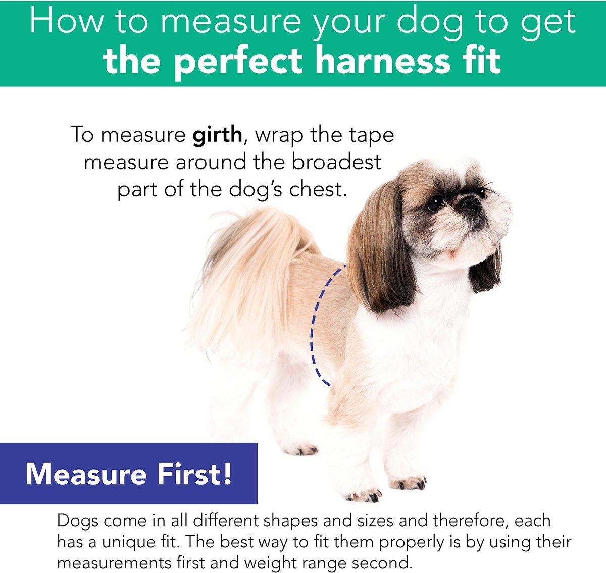 Li'l Pals Mesh Step In Back Clip Dog Harness and Leash