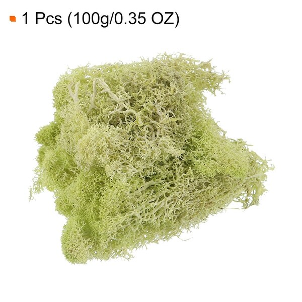 3.5OZ Moss Preserved Moss Artificial Moss for DIY Floral Project Decor