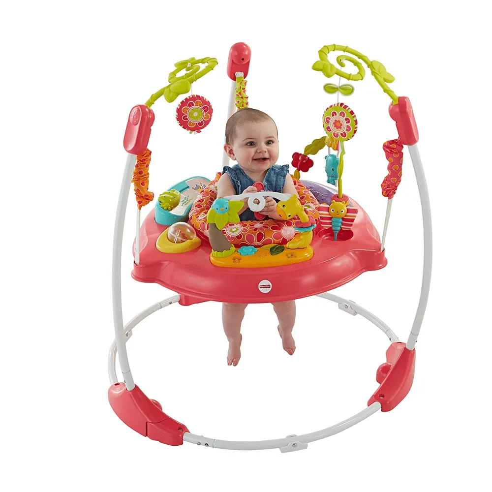 Fisher-Price Jumperoo， Pink Petals