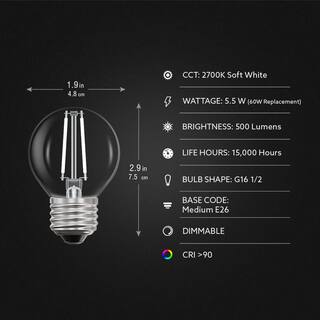 Feit Electric 60-Watt Equivalent G16.5 E26 Standard Dimmable White Filament CEC Clear Glass LED Light Bulb Soft White 2700K (2-Pack) GM1660927CAWFILHDRP2