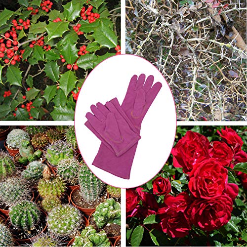 HANDLANDY Ladies Thorn Proof Gardening Gloves, Long Gauntlet Heavy Duty Garden Gloves, Elbow Length Women Leather Rose Pruning Gloves (Medium, Rosy)