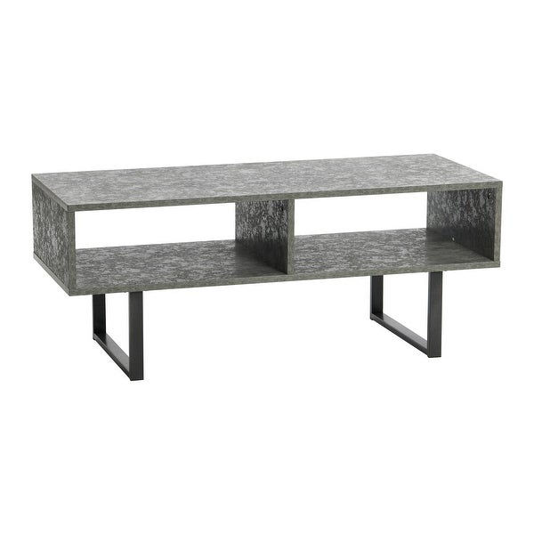 Modern Coffee Table with 2 Compartments