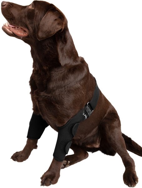 Labra Canine Dual Shoulder Elbow Dog Brace Wrap