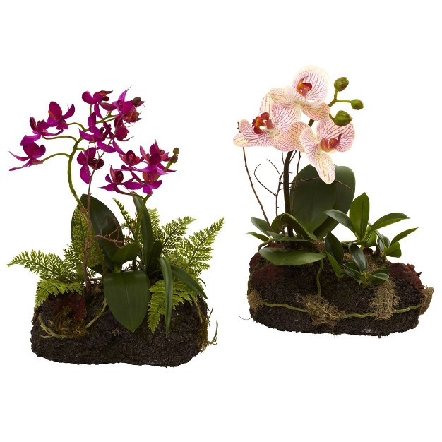 X 7 2pc Artificial Orchid Island Set White/purple - Nearly Natural