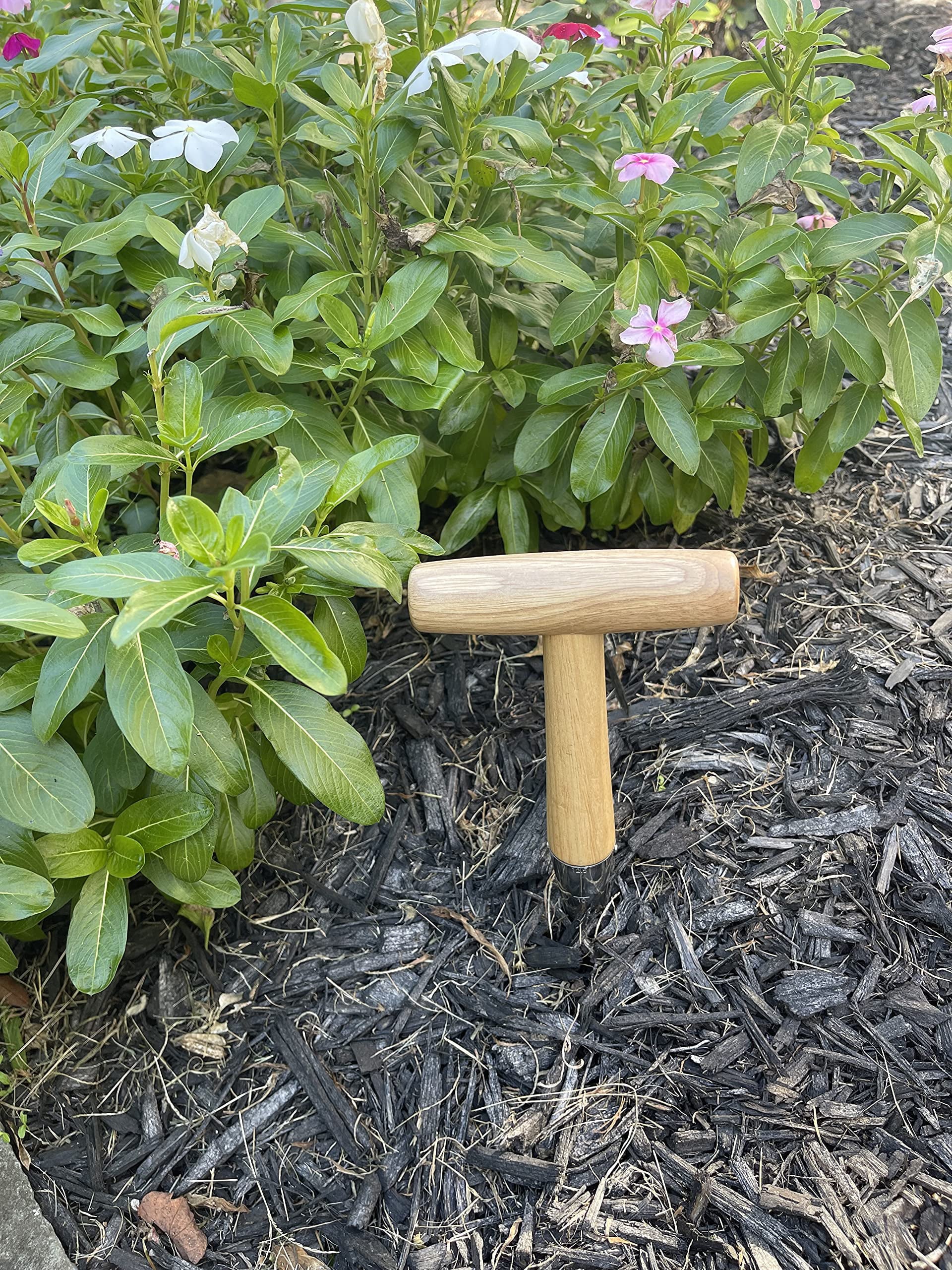 Garden Guru Steel Dibber Planter Tool for Planting Seeds & Bulbs, High Carbon Steel & Comfortable Wood Carved Handle