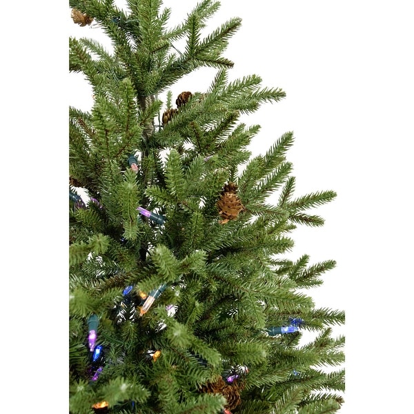 Fraser Hill Farm 3.0' Noble Fir Potted Tree