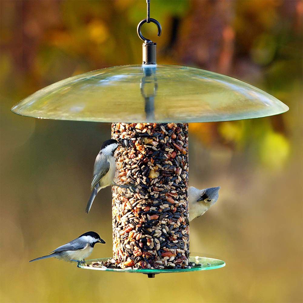 Mosaic Birds 360 Degree Seed Cylinder Bird Feeder， 15-in