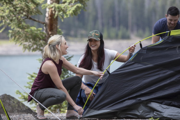 Coleman 4-Person Sundome Dark Room Dome Camping Tent with Easy Setup