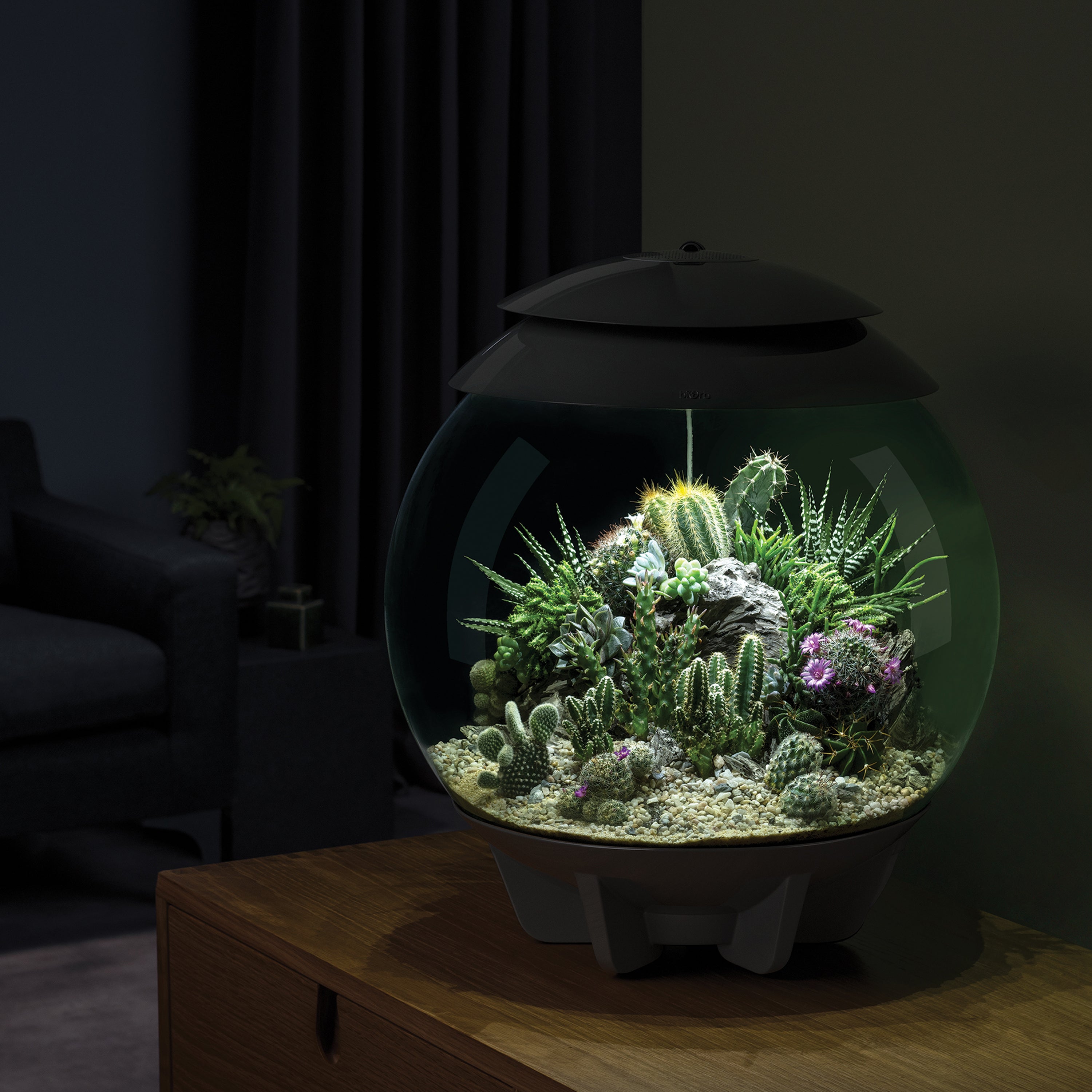 biOrb AIR 30 Terrarium， grey