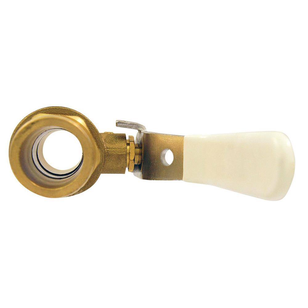 Apollo 1 in. Brass Insert Poly Ball Valve POLYV1