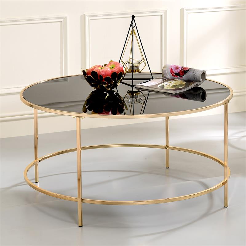 Bowery Hill Contemporary Glass Top Round Coffee Table in Gold