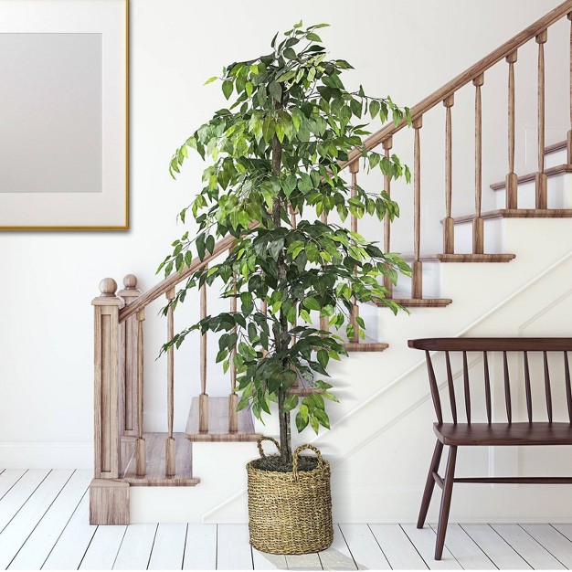 Artificial Ficus Tree In Basket - Lcg Florals