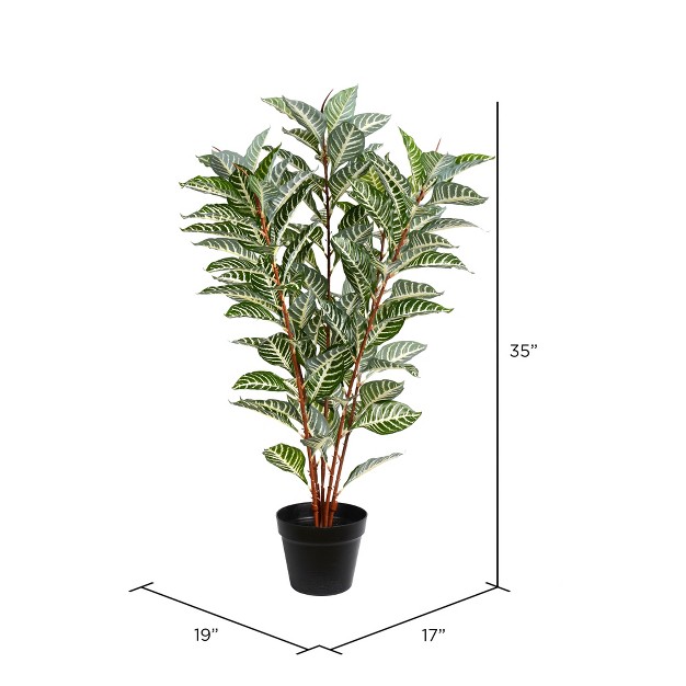 Artificial Green Real Touch Zebra Plant