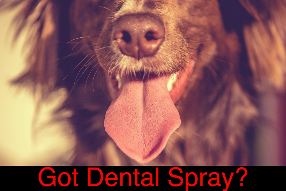 Warren London Dog Dental Spray and Water Additive