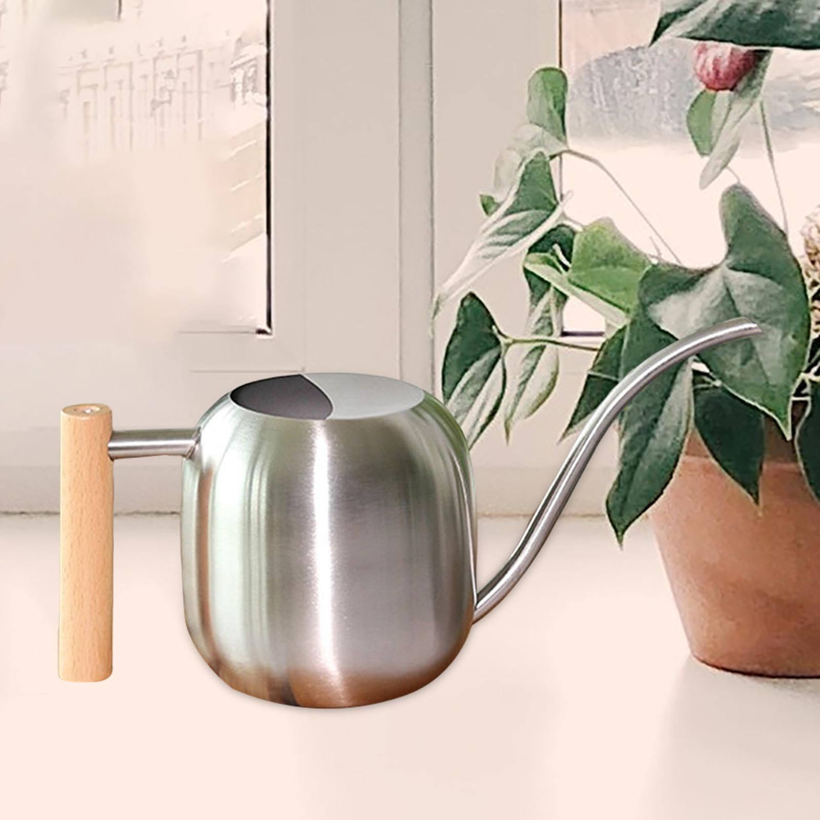 Stainless Steel Indoor Watering Can ,Modern Watering Can Pot, Wooden Handle Long Spout Watering Can for Patio, Flower ,Outdoor Decorative