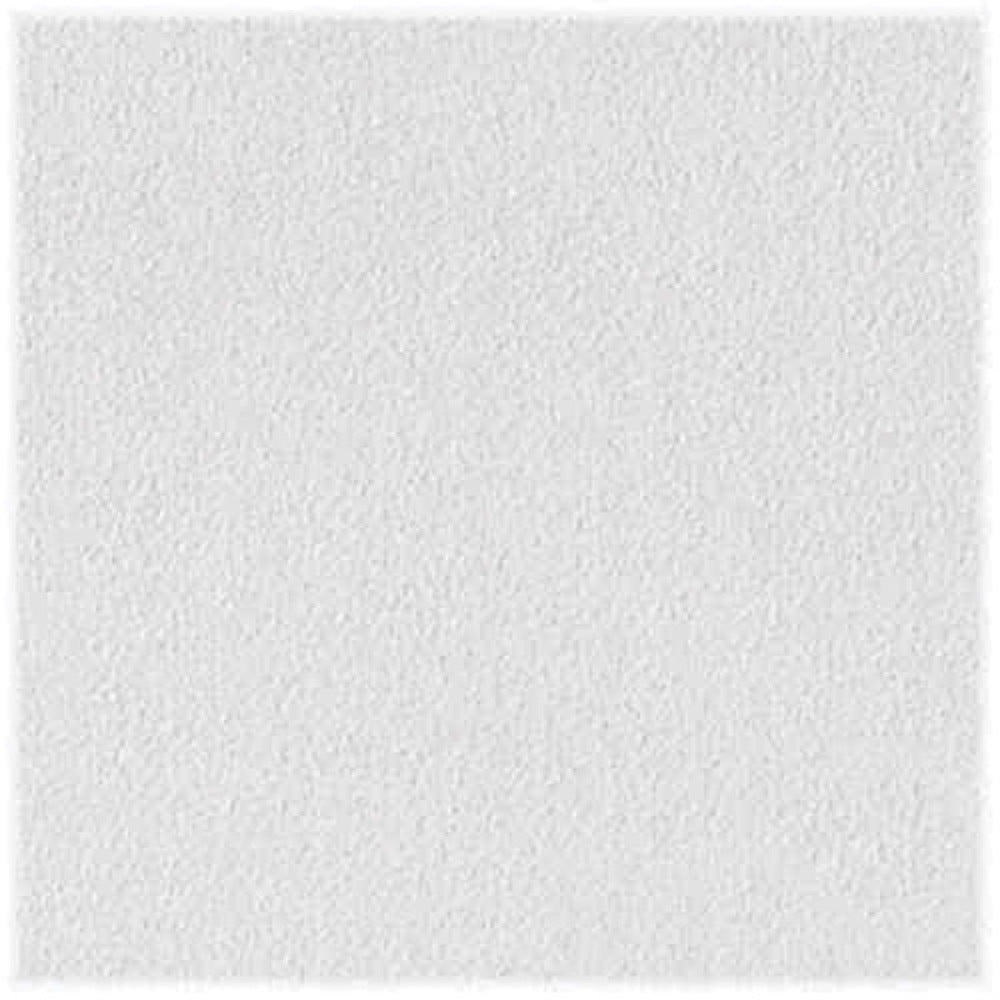 CEIL PNL SHEETROCK 2'X2'