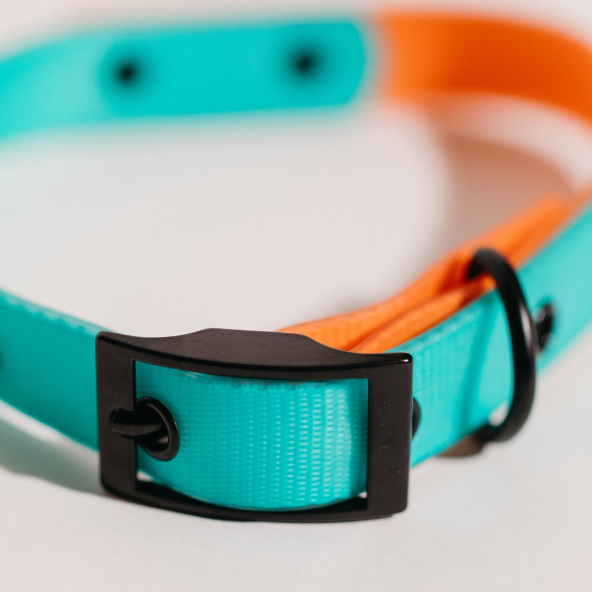 Good Trouble Everyday Coated Nylon Dog Collars