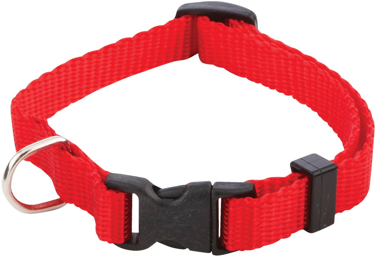 Westminster Pet Ruffinand#039 it Pet Collar