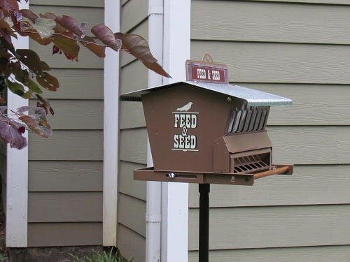 Heritage Farms Absolute Bird Feeder