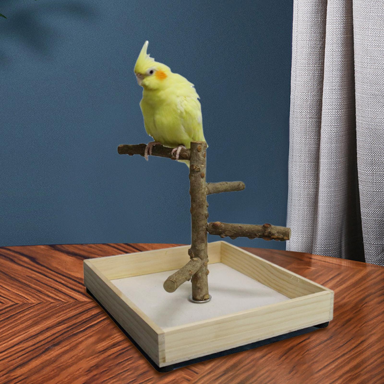 Parakeet Perch， Bird Natural Wood Stand， Parrot Wooden Branches for Standing， Toys for Small Medium Parrots Budgie - 36x36x25cm