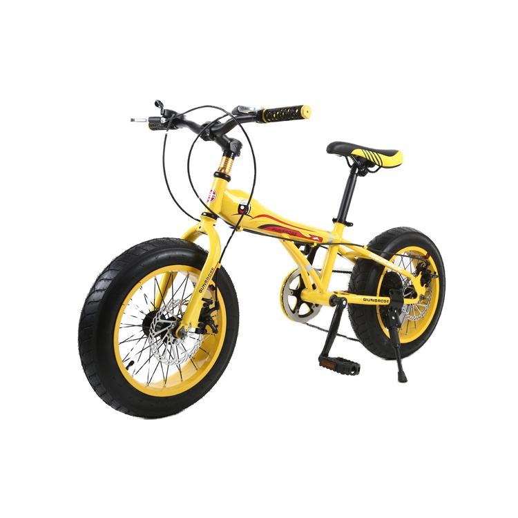 2023 Fat tire  top 3 snow children bike 20\