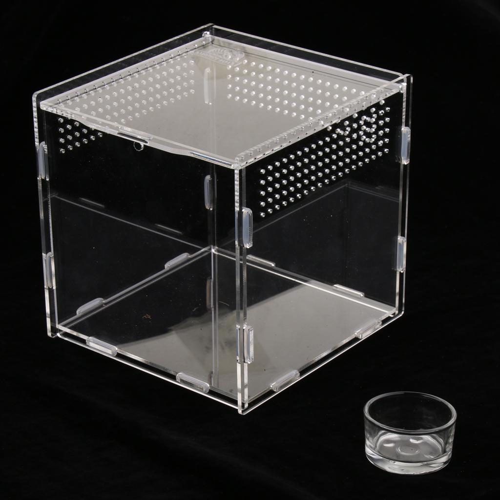 Transparent Acrylic Aquarium Fish Tank Box Reptile Lizaed Spider Tank Breeding Box Terrarium Habitat 15x15x15cm 1