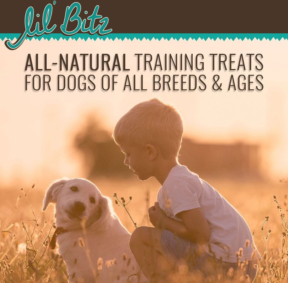 Lil' Bitz Wild Salmon and Kelp Training Dog Treats