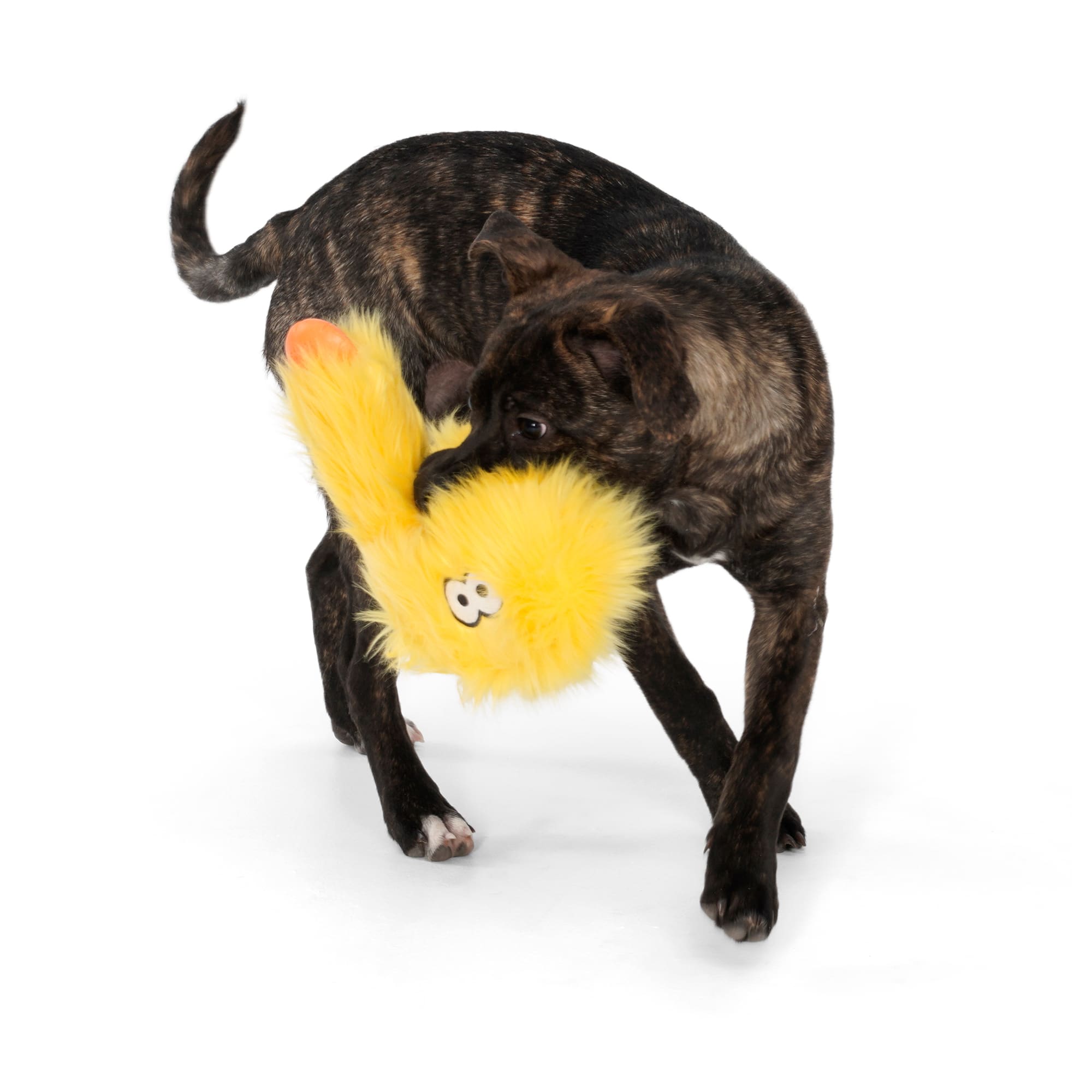 West Paw Yellow Wilson Dog Toy， Medium