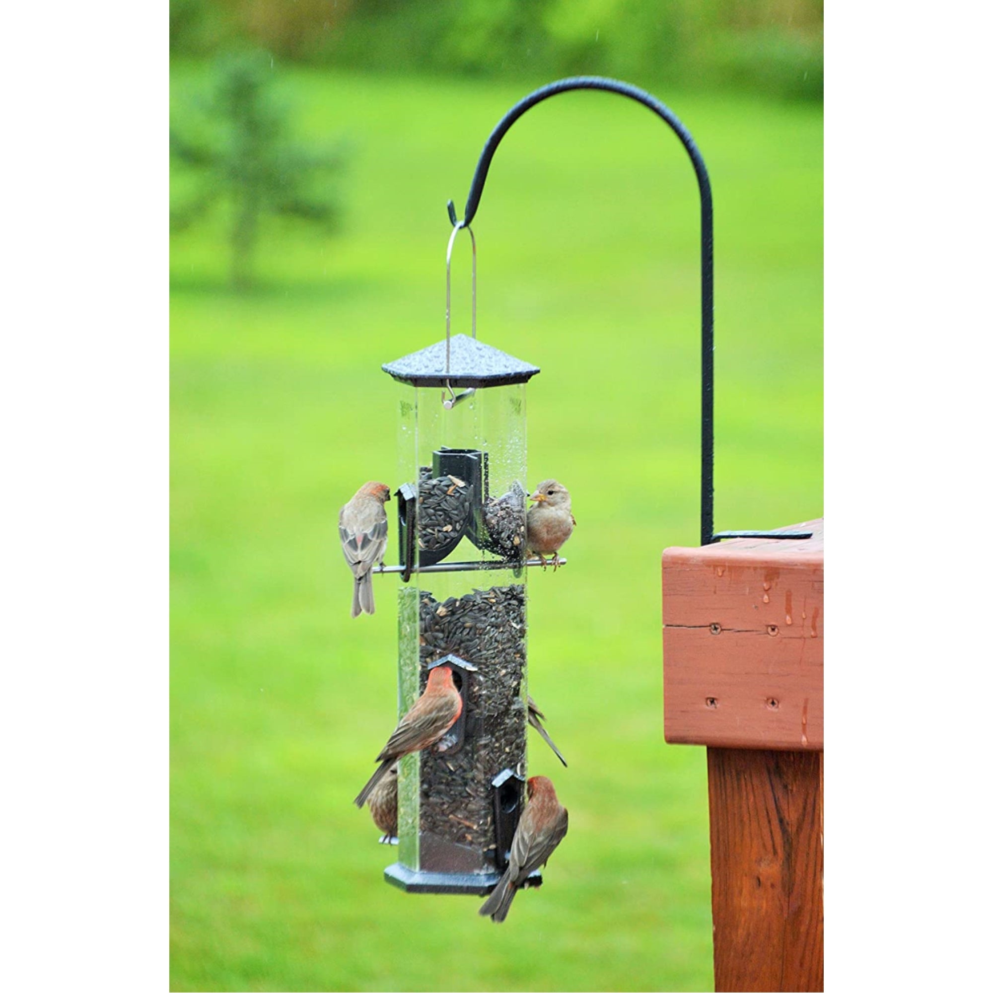 Nature's Way Bird Products Wide Deluxe Twist and Clean Sunflower Pewter Feeder， 17 Inch