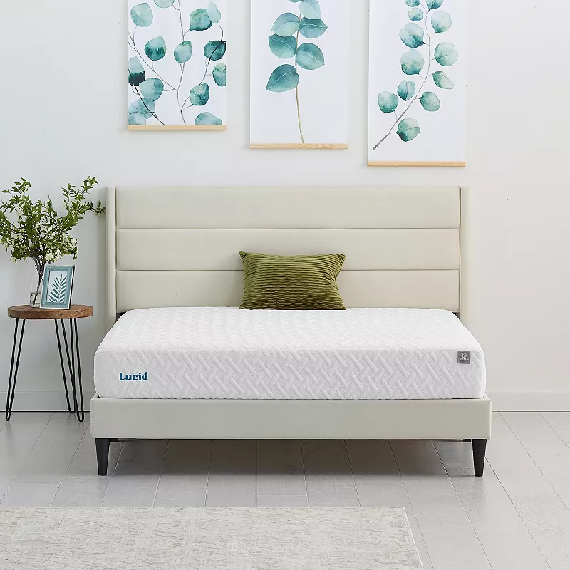 Lucid Dream Collection 8-in. Memory Foam Mattress