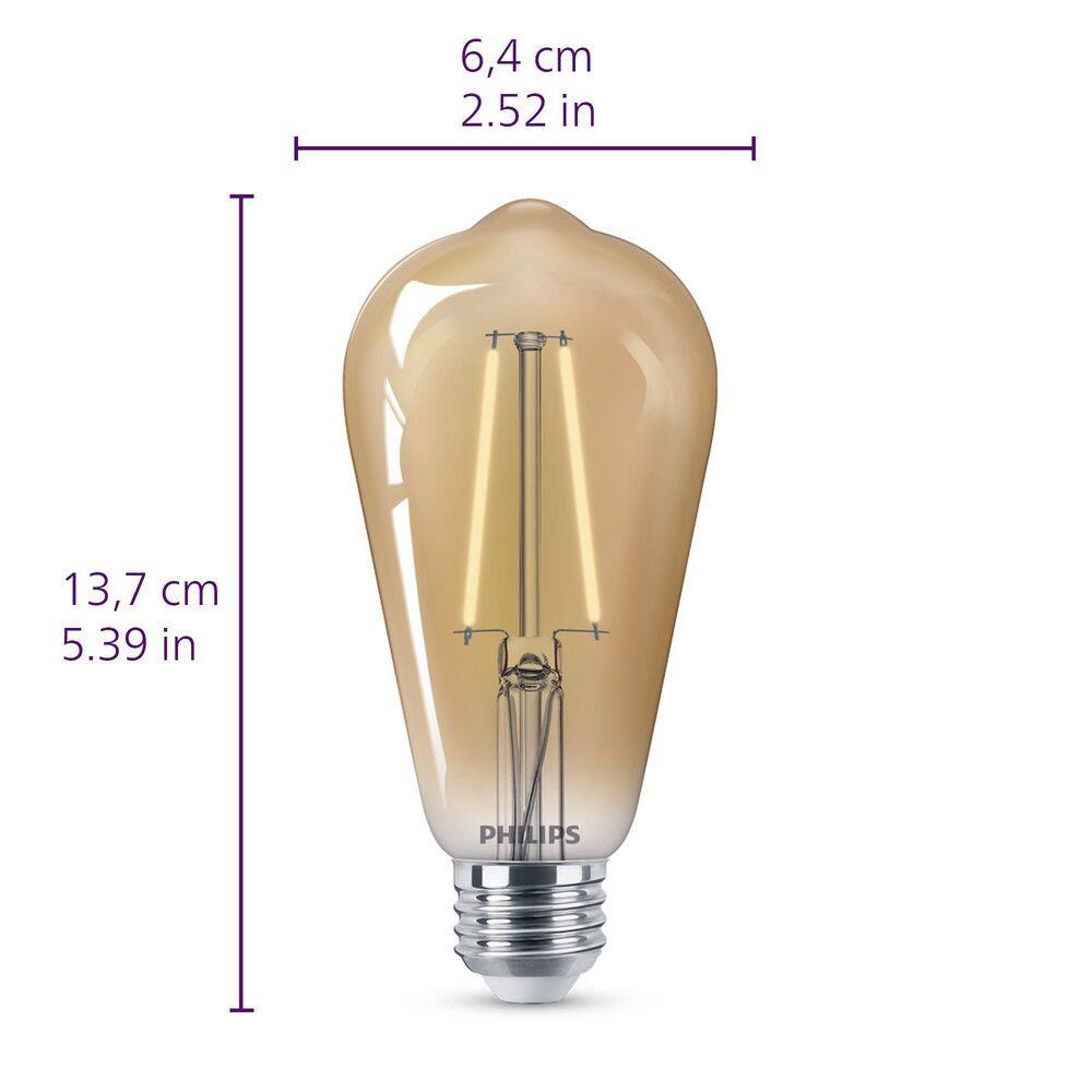 Philips 40-Watt Equivalent ST19 Straight Filament E26 Base LED Vintage Edison LED Light Bulb 2000K Amber (2-Pack) 564849