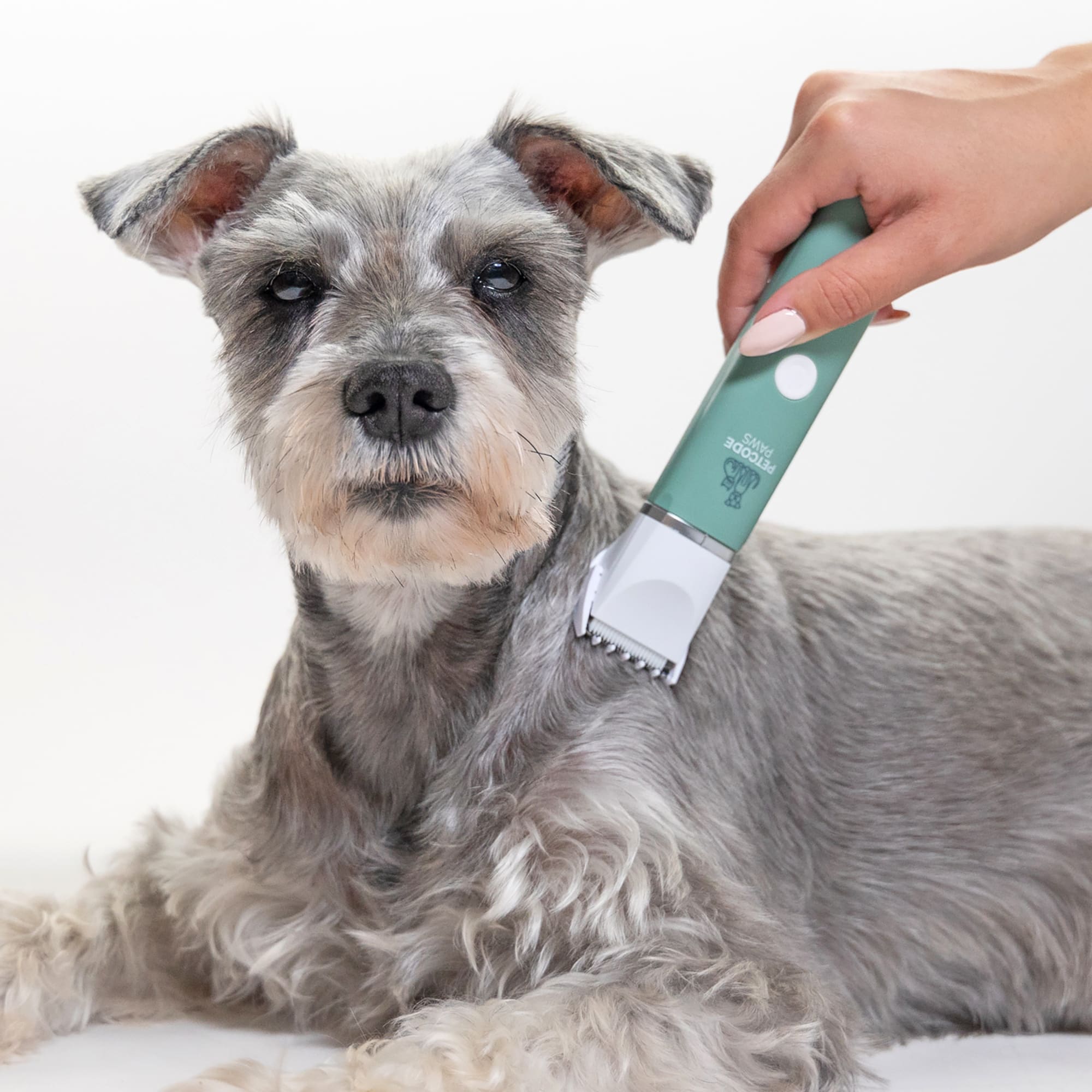 Petcode Paws 4-in-1 Pet Styler Trimmer and Filer for Dog and Cat Grooming， 5.9