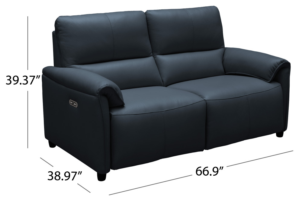 Lily Leather Power Reclining Loveseat With Power Headrests   Contemporary   Loveseats   by Abbyson Living  Houzz