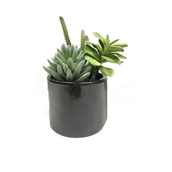 Vickerman Green Succulents in Cement Pot