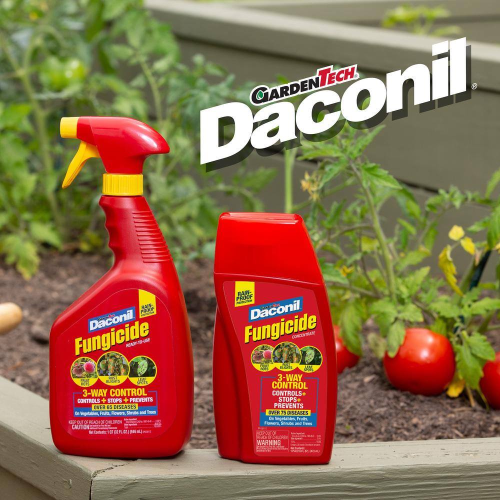 Daconil 16 oz. Concentrate Fungicide 100536524