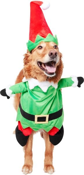 Frisco Front Walking Elf Dog and Cat Costume