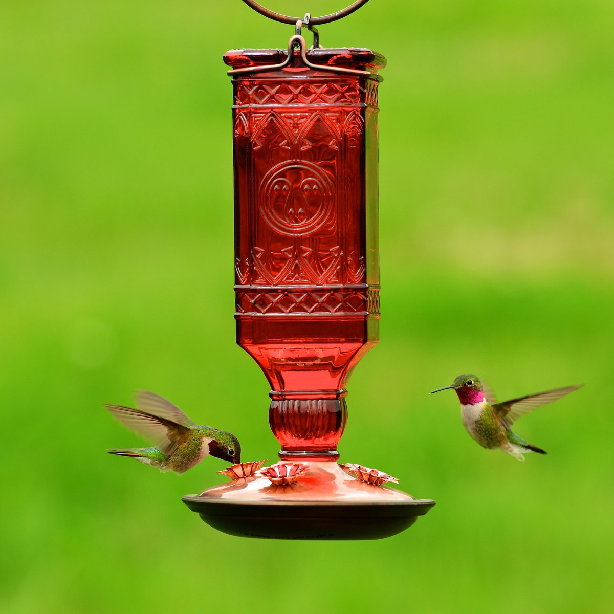 Perky-Pet Square Antique Bottle Glass Hummingbird Feeder